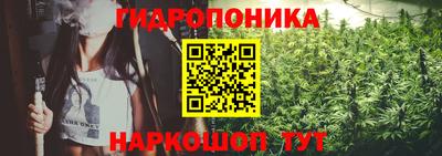 мяу мяу мука Апшеронск