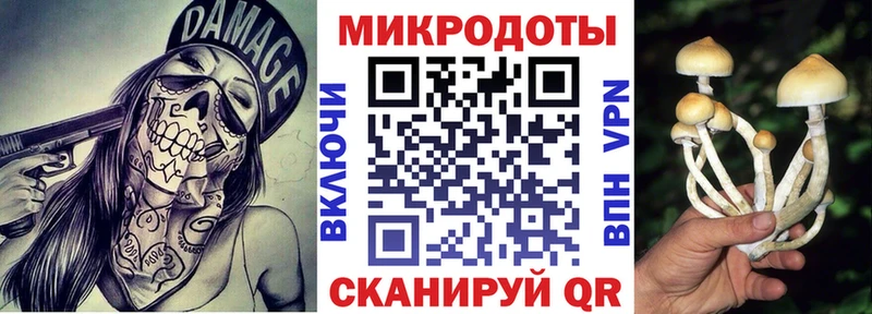 Галлюциногенные грибы Psilocybe Кинешма