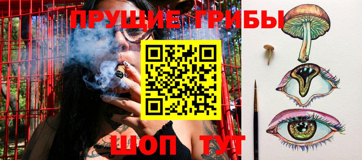 Галлюциногенные грибы мицелий Кинешма