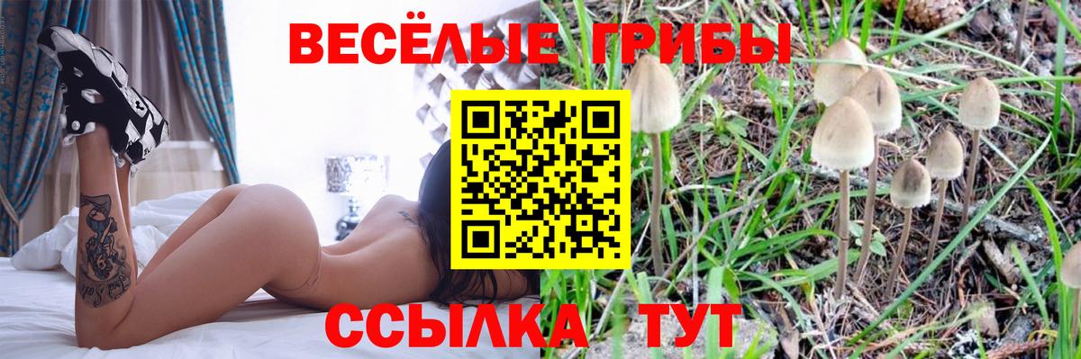 Галлюциногенные грибы прущие грибы  Вход с VPN  наркота  Кинешма 