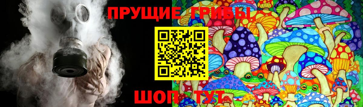 Галлюциногенные грибы мицелий Кинешма