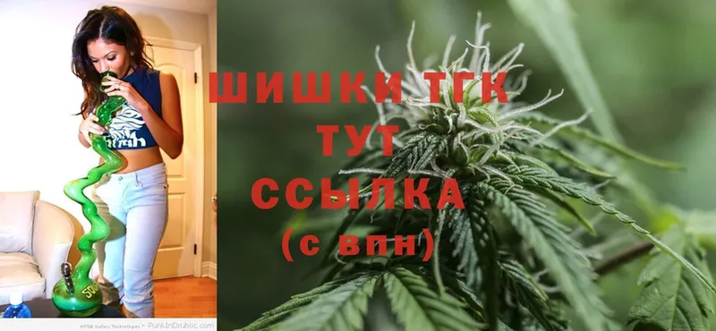 закладка  Кинешма  Конопля сатива 