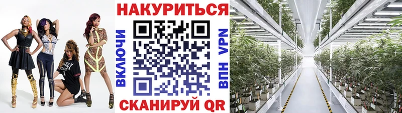 как найти наркотики  Кинешма  blacksprut как зайти  Каннабис THC 21% 